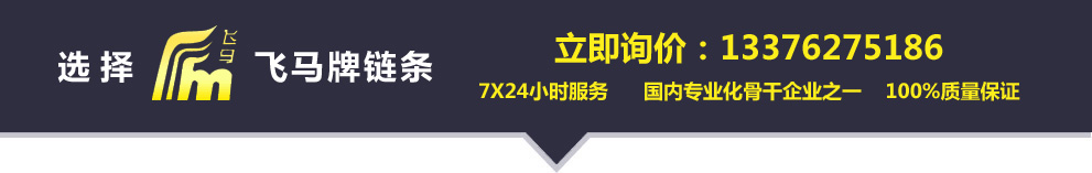 鏈條|鏈輪|輸送鏈--常州市飛馬鏈傳動(dòng)有限公司